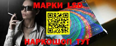 гашик Дмитров