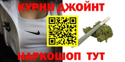 гашик Дмитров