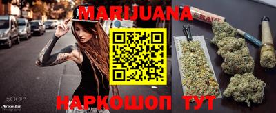 гашик Дмитров