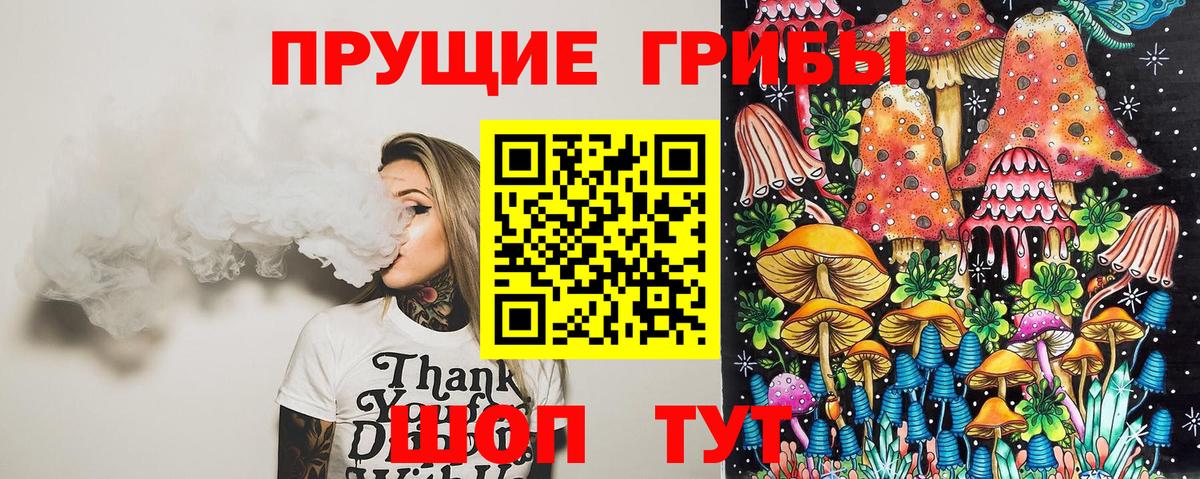 Псилоцибиновые грибы Cubensis  Вход с VPN  Ржев 